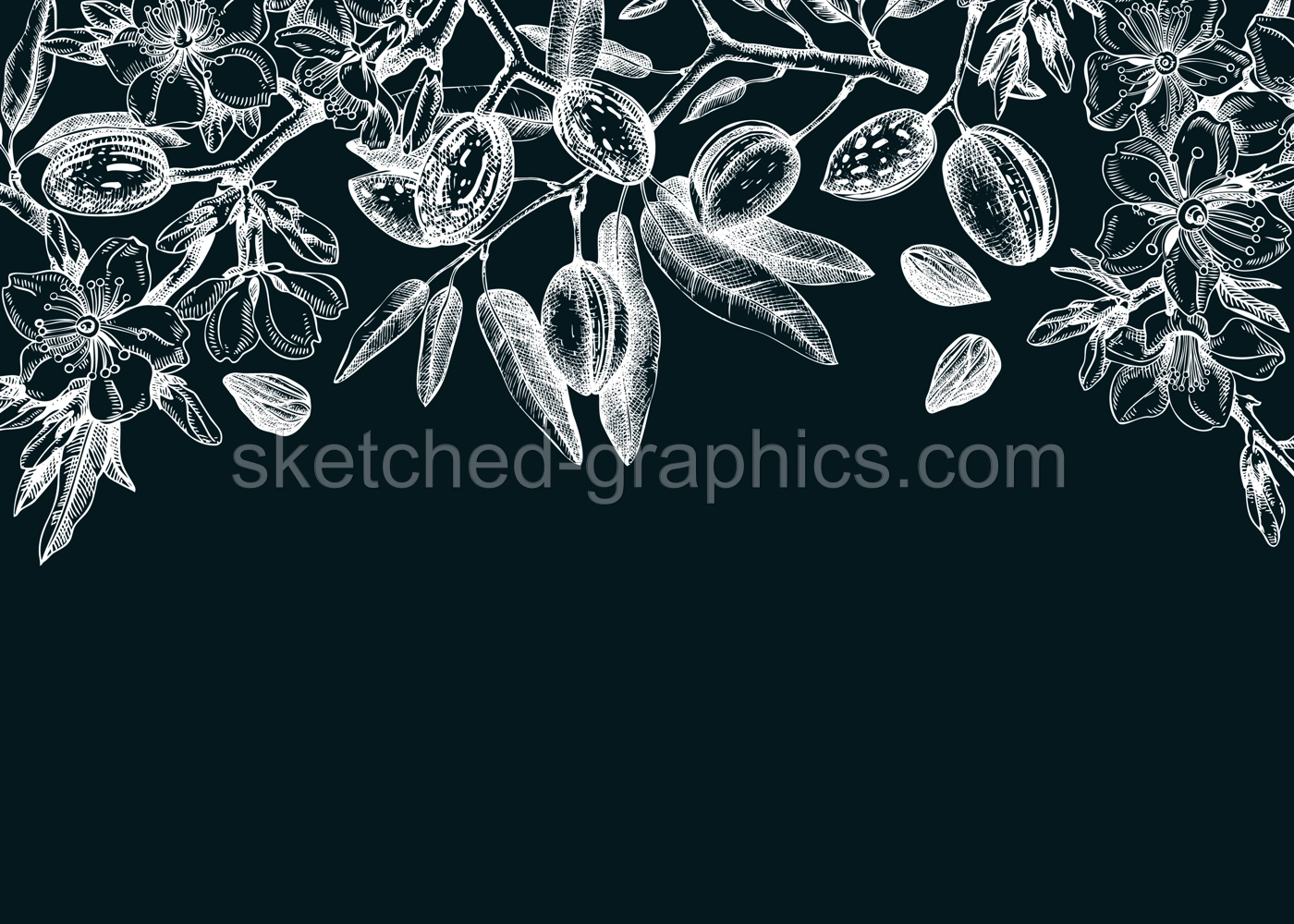 Vintage almond blossom banner design. Flowering branches with nuts, flowers, leaves on chalkboard. Floral spring background. Botanical vector illustration of nut trees for banners, prints, cards Illustration